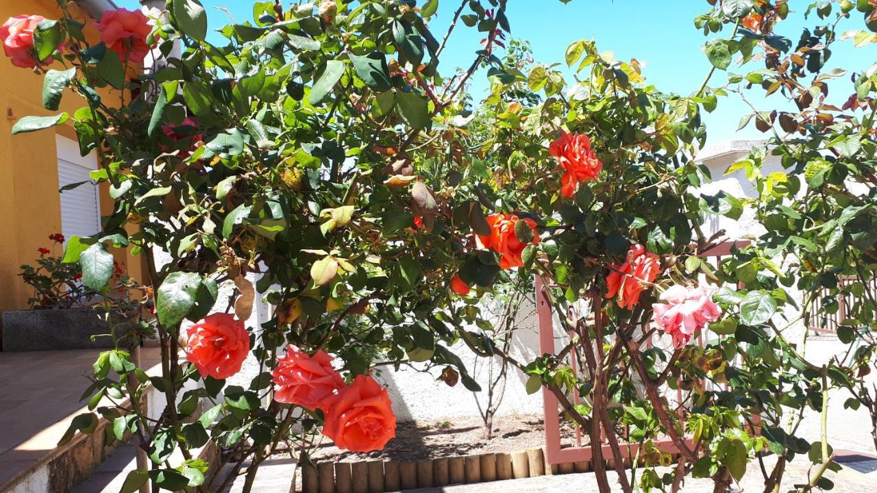 Casa Els Rosers Wifi L' Escala Eksteriør billede